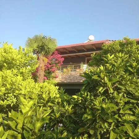 Villa Kola *